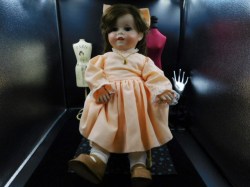 sfbj twirp 247 dress